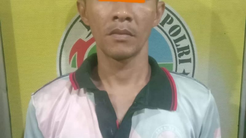 Nyamar Jadi Pembeli, Satres Narkoba Polres Binjai Ringkus Bandar Sabu