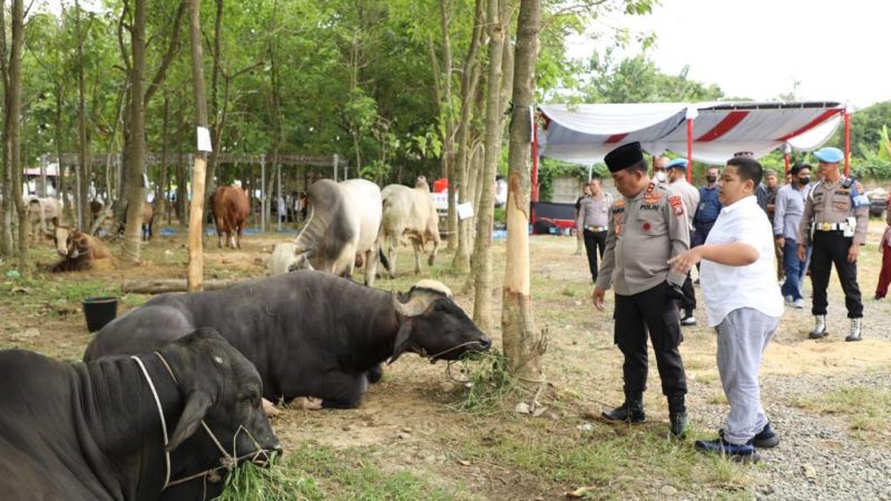 Kapolda Sumut : Qurban Adalah Bukti Ketaqwaan Seorang Muslim Kepada Allah SWT