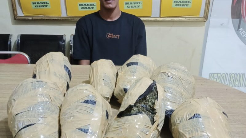 Sat Res Narkoba Polresta Deli Serdang Ringkus Kurir Ganja Asal Aceh