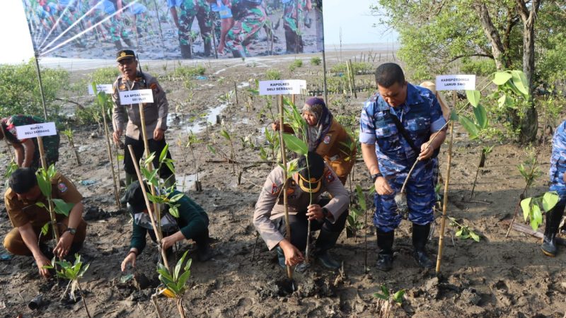 Pemkab Bersama Polresta Deli Serdang Gelar Penanaman Bibit Mangrove