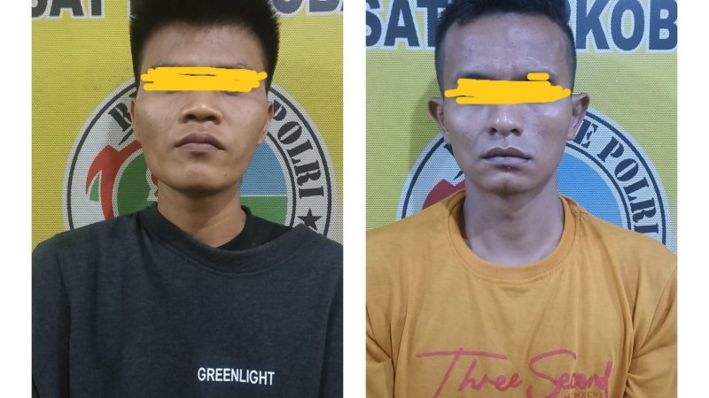Nyamar Jadi Pembeli, Polres Binjai Bekuk 2 Orang BD Sabu