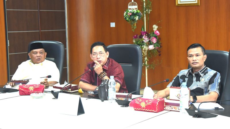 Pansus Bahas Tentang Perlindungan Disabilitas dan Lansia