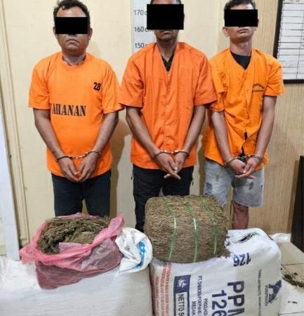 Polres Langkat Ringkus Pengedar 32 Kg Ganja