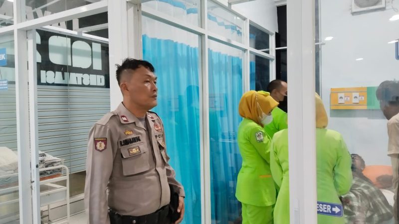 Saat Memanen Cabe, Warga Sei Lepan Kabupaten Langkat Diterkam Harimau Sumatera