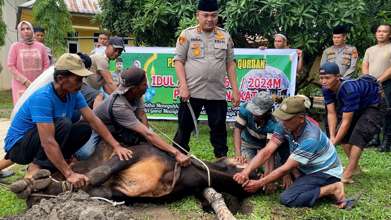 Polres Langkat potong hewan Kurban 9 ekor lembu dan 8 ekor kambing