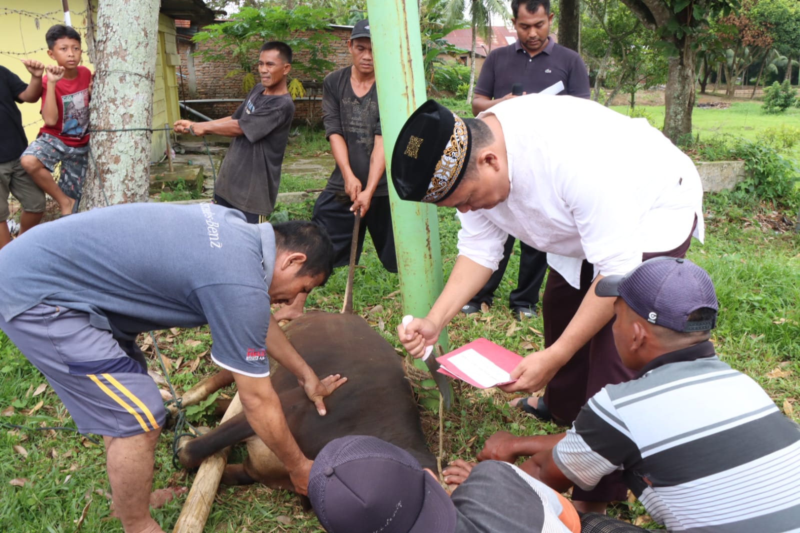 Berjalan Lancar, Kapolres Binjai Pimpin Penyembelihan Hewan Qurban Idul Adha 1445 H
