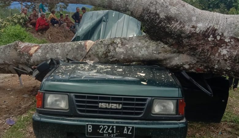 Saat Berlibur di kebun durian miliknya, satu keluarga di timpa pohon tumbang