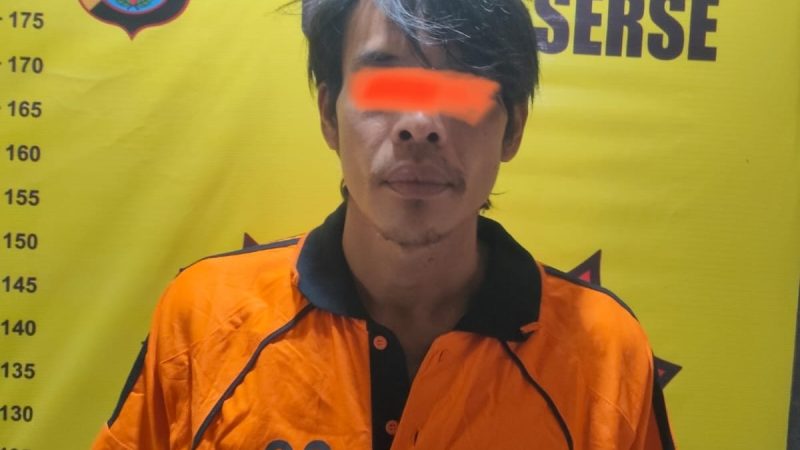 Polsek Sei Bingai Polres Binjai ciduk pelaku pencurian pemberatan