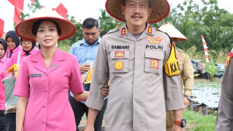 Kapolres Binjai Lakukan Penanaman Cabai Dukung Program Presiden Dalam Ketahanan Pangan