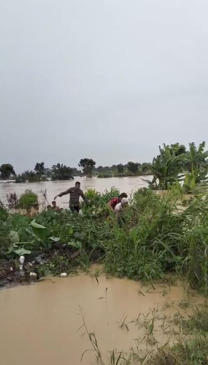 Aksi Heroik! Personil Dalmas Sat Samapta Selamatkan Lansia Yang Terjebak Banjir