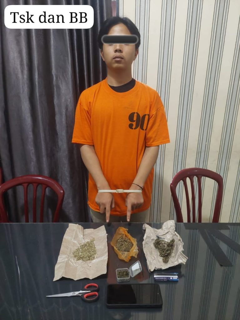 Polres Tanah Karo Ringkus Bandar Ganja di Jalan Samura Kabanjahe