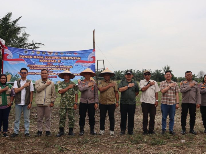 Polres Binjai Bersama Forkopimda Ikuti Panen Raya Jagung Serentak Kuartal II dan Launching Program Ketahanan Pangan Polri