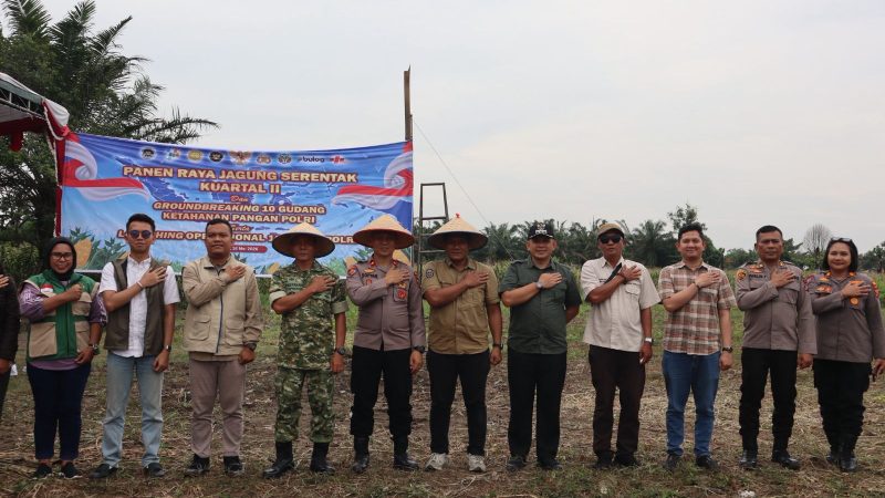 Polres Binjai Bersama Forkopimda Ikuti Panen Raya Jagung Serentak Kuartal II dan Launching Program Ketahanan Pangan Polri