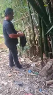 Polrestabes Medan Ringkus Pengedar Narkotika Beserta 64 Paket Ganja di Marindal