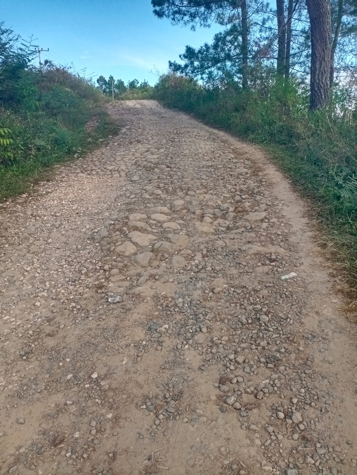Jalan Kabupaten Sabungan Nihuta – Paraduan Rusak Parah, Warga Minta Pemkab Samosir Segera Perbaiki