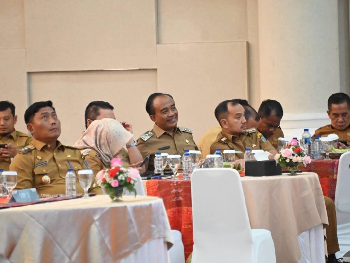 Pemkab Samosir Komitmen Optimalkan PAD, Wabup Ariston Hadiri Rakor di Medan