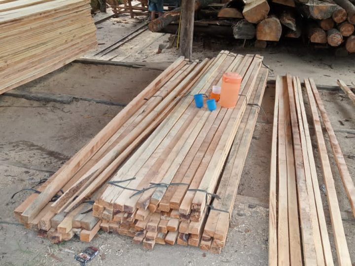 Sawmill Milik Warga di Sabungan Nihuta Disebut Sudah Kantongi Izin OSS, Kadis LH: Pendaftaran Online