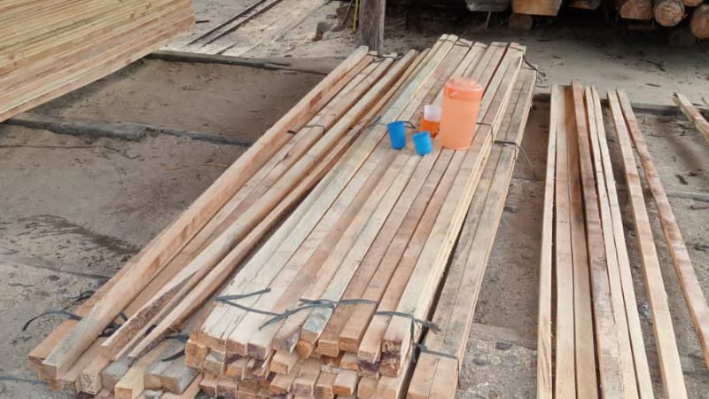 Sawmill Milik Warga di Sabungan Nihuta Disebut Sudah Kantongi Izin OSS, Kadis LH: Pendaftaran Online
