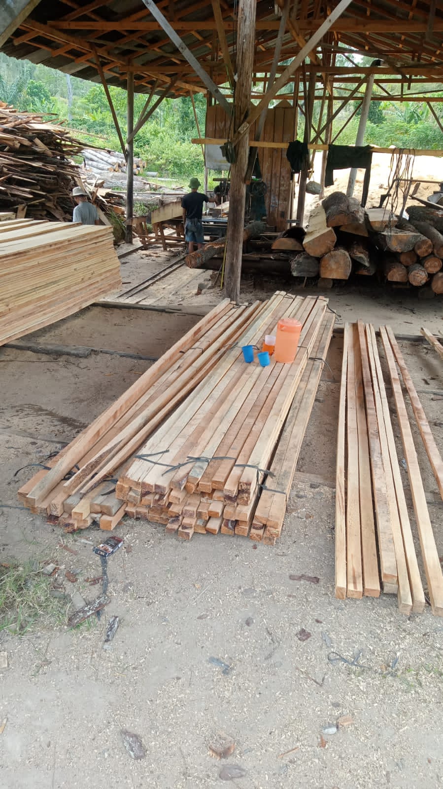 Sawmill Milik Warga di Sabungan Nihuta Disebut Sudah Kantongi Izin OSS, Kadis LH: Pendaftaran Online