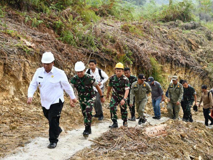 Pemkab Samosir, TNI dan Kementan Bersinergi Bangun 20 Jembatan dan Irigasi 680 Hektare Sawah di Palipi