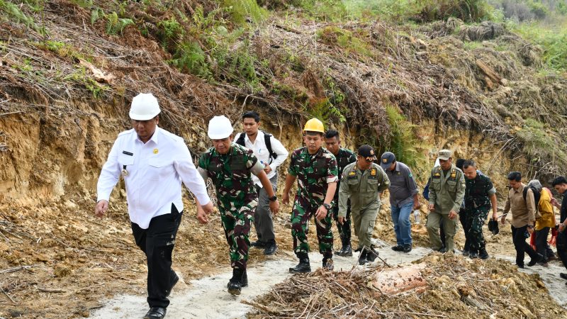 Pemkab Samosir, TNI dan Kementan Bersinergi Bangun 20 Jembatan dan Irigasi 680 Hektare Sawah di Palipi