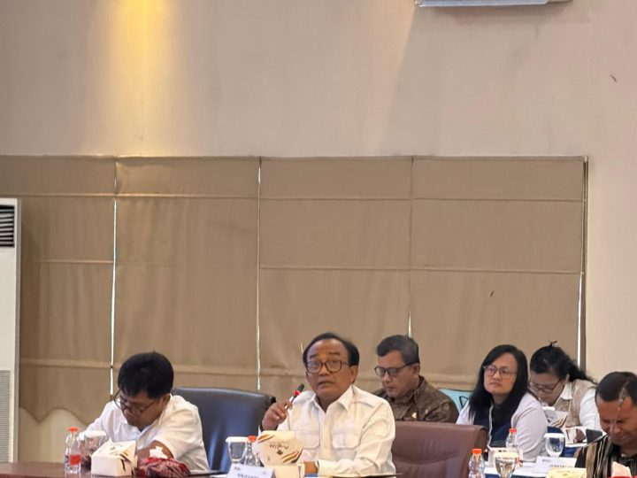 Kejar Target Listrik 100 Persen di 2029, Wabup Samosir Ariston Usulkan Warga Miskin yang Belum Berlistrik Masuk Program Lisdes