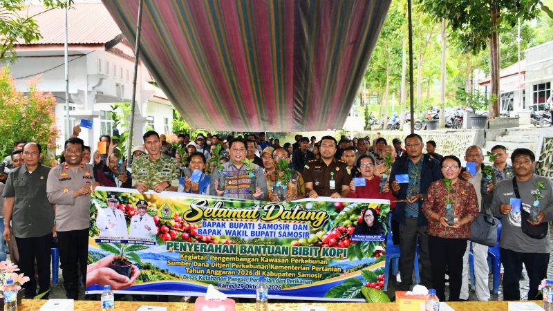 Pemkab Samosir Bagikan 1,25 Juta Bibit Kopi Arabika untuk 245 Kelompok Tani