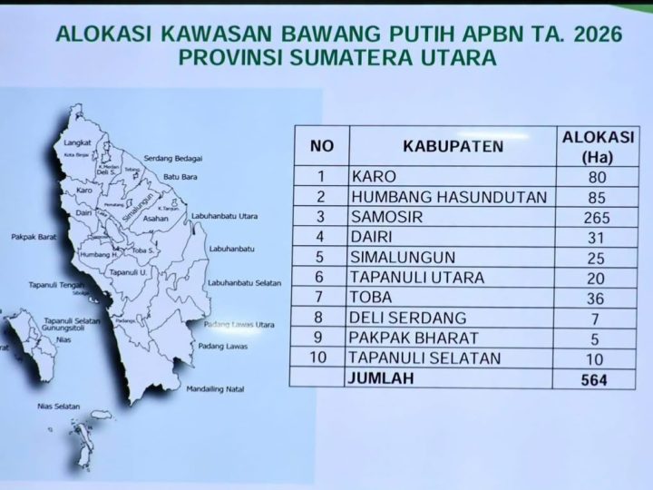 Samosir Jadi Raja Bawang Putih Sumut, Dapat Alokasi Terbesar 265 Hektare dari APBN 2026