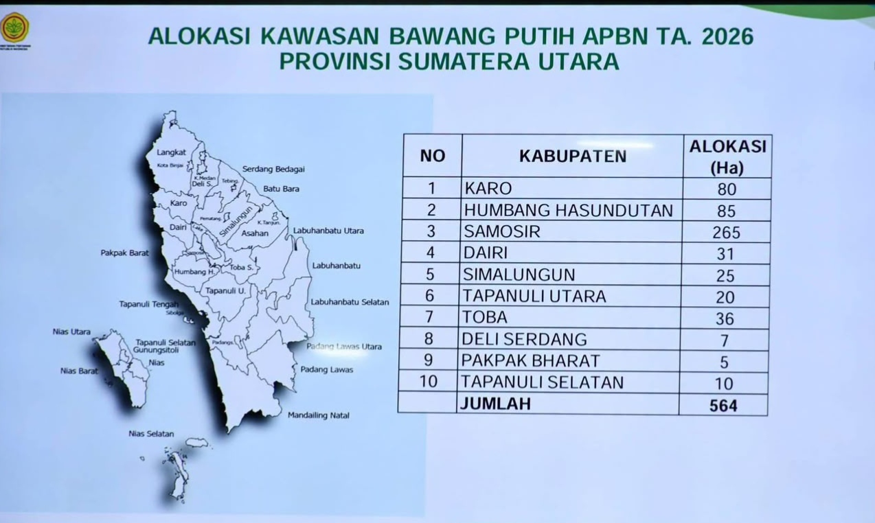 Samosir Jadi Raja Bawang Putih Sumut, Dapat Alokasi Terbesar 265 Hektare dari APBN 2026